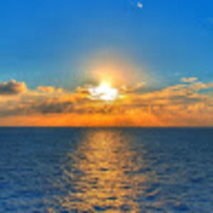 Meet your Posher, Avery